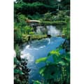 Miniatyrbild 2 av 2: Ubbink Naturligt dammfiltermaterial Lava vulkansten 16-32mm 10L