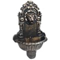Miniatyrbillede 2 af 9: vidaXL vægfontæne løvehoved bronzefarvet
