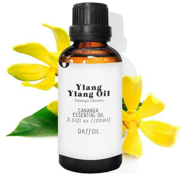 Essential oil Daffoil Aceite Esencial 100 ml