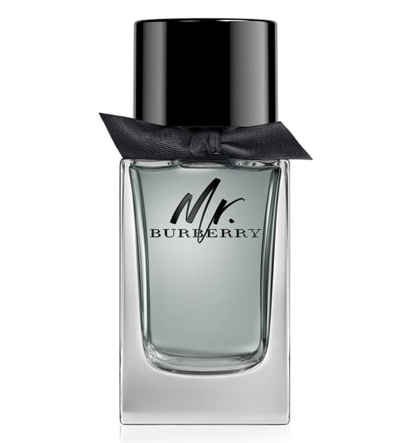 Burberry Mr. Burberry edt 100ml