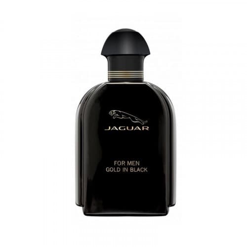 for Men Gold In Black Edt 100ml
