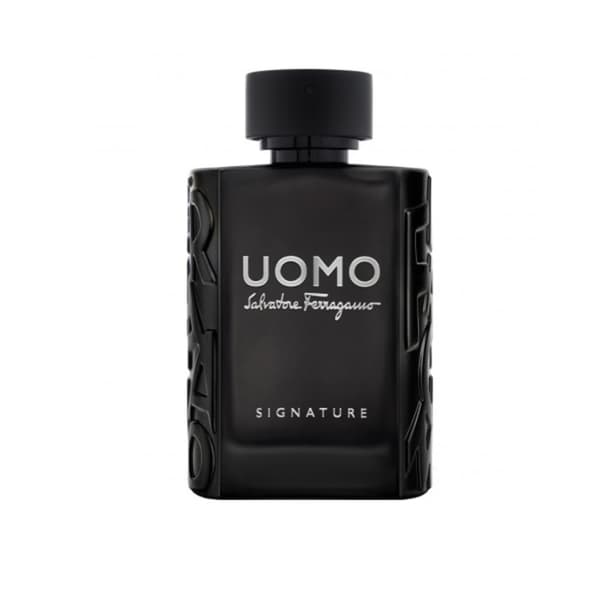 Herreparfume Signature Salvatore Ferragamo EDT Uomo Signature 50 ml 100 ml - 100 ml