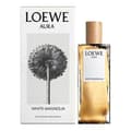Miniatyrbillede 1 af 3: Dameparfume Aura White Magnolia Loewe EDP EDP - 100 ml
