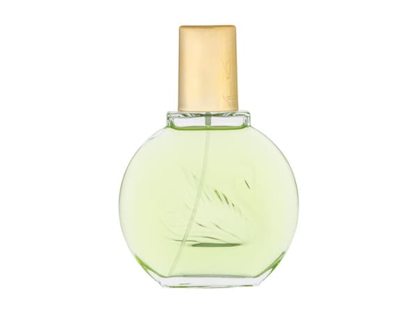 Gloria Vanderbilt Jardin à New York Eau Fraîche Eau De Parfum 100 ml (woman)