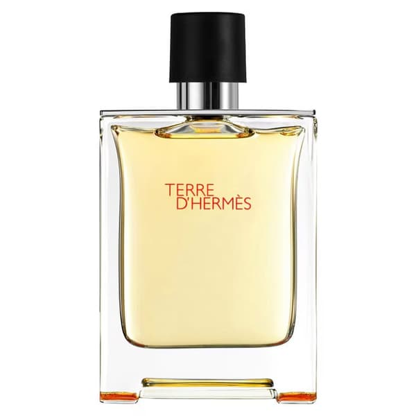 TERRE D'HERMÈS eau de toilette spray 200 ml