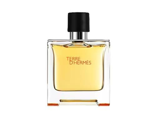 Parfum Spray Hermès Terre D’hermès 75 ml