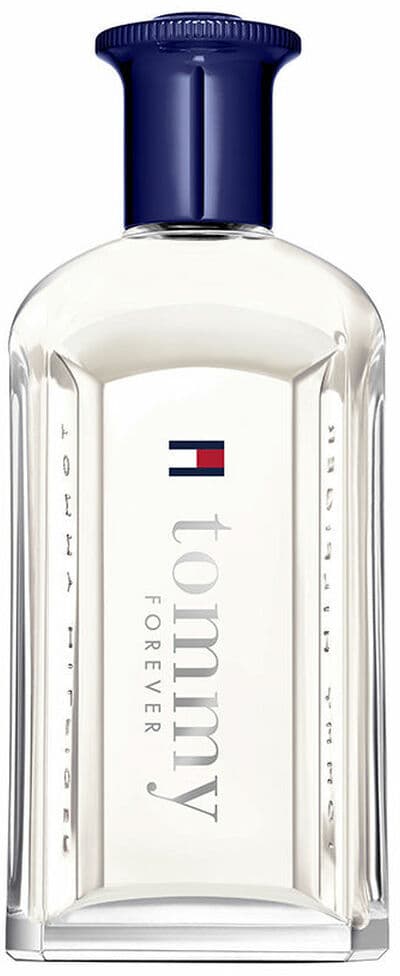 Men's Perfume Tommy Hilfiger TOMMY FOREVER EDT 100 ml