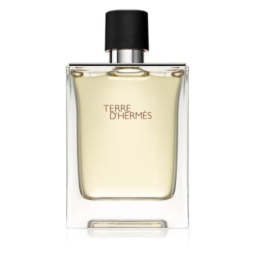 Terre dHermes Edt 100ml