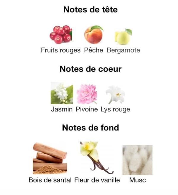 Lattafa Parfum original MAAHIR
