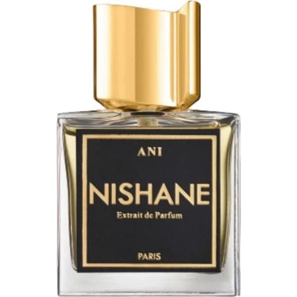 Eau de parfum för parfym för män och kvinnor – ANI – 100ml – NISHANE