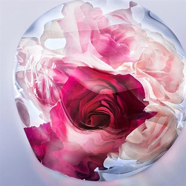 La Vie Est Belle Rose Extraordinaire - EDP - Volym: 50 ml