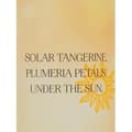 Miniatyrbild 2 av 2: Body Mist - VICTORIA'S SECRET - Warm Horizon - 250ml - Blommig - Solar