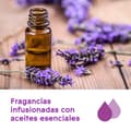Miniatyrbild 3 av 4: Glade Spray - J328979 - Aromaterapidifusor Zen Rec