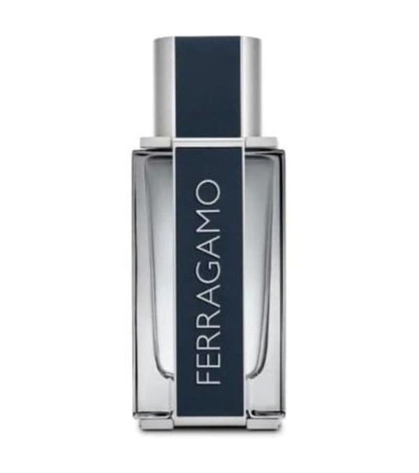 FERRAGAMO NYHET FÖR HERR EDT 50 V