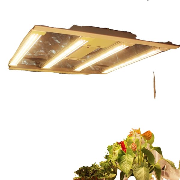 Quantum Bar Vækstlys, LM301H EVO, Dæmpbar, Aluminiumskonstruktion,Samsung LM301H EVO, 240W, EU