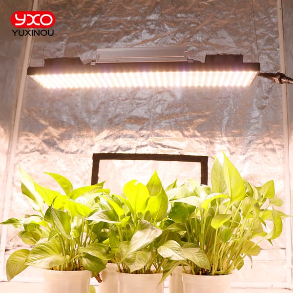 Fuldspektret LED vækstlys, høj lumenudgang, dæmpbar funktion,240W, 35K395450660730FS, EU