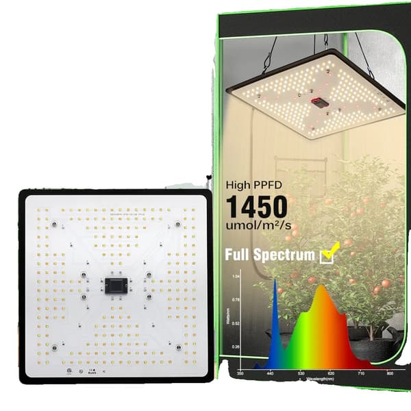 Täysivalo LED-kasvivalo, himmennettävä, LM301H LED-sirut,100W