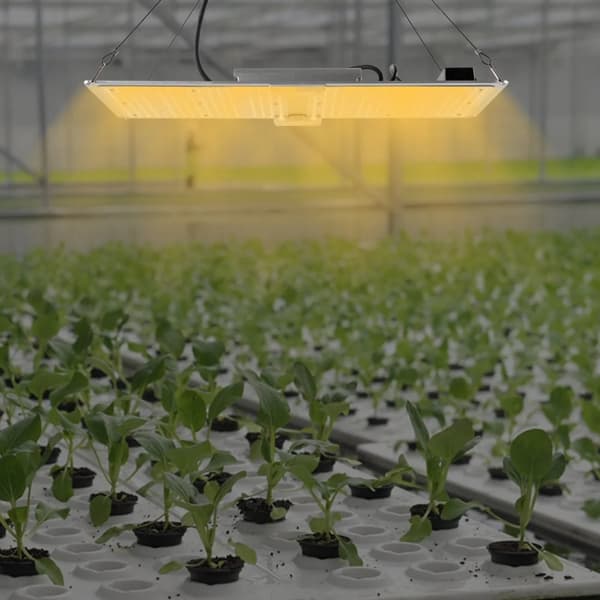 LED Vækstlys, Fuldspektrum, Justerbar Intensitet
