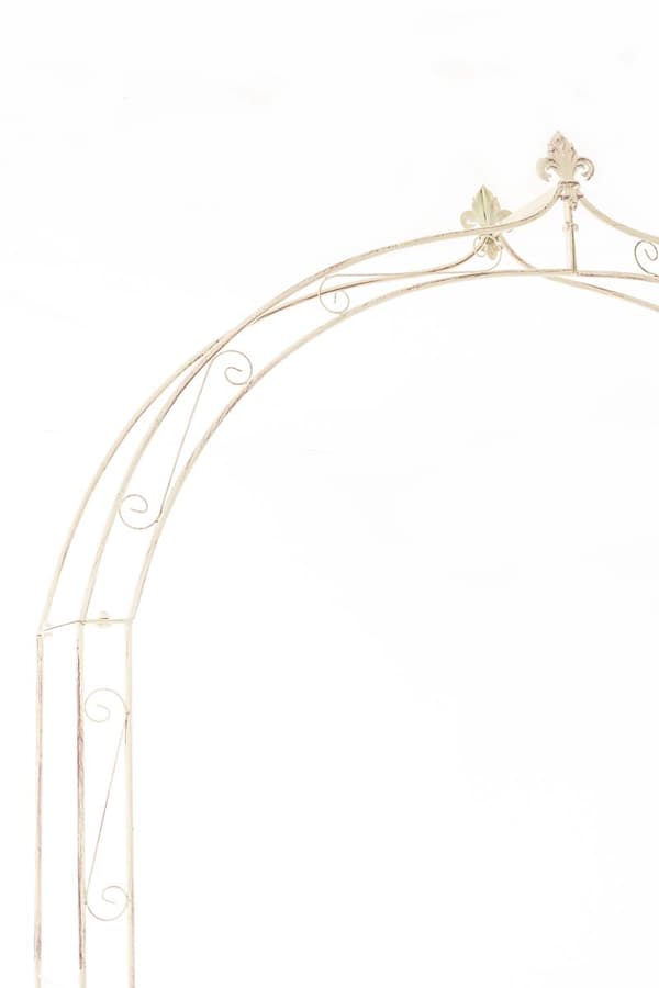CLP Rose arch Anna