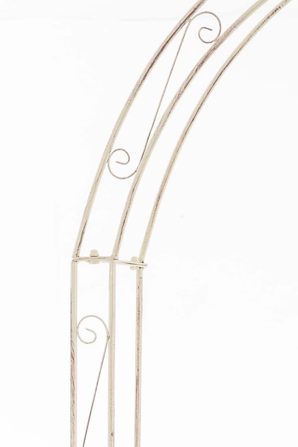 CLP Rose arch Anna