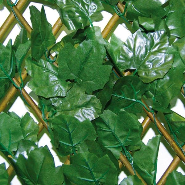SYNTHETISK HÄCK MED UTSKJUTBART STÄNGSEL DIVY X-TENS HEDERA 1X2 M TENAX HÄCK GÅRD STÄNGSEL TILLBEHÖR