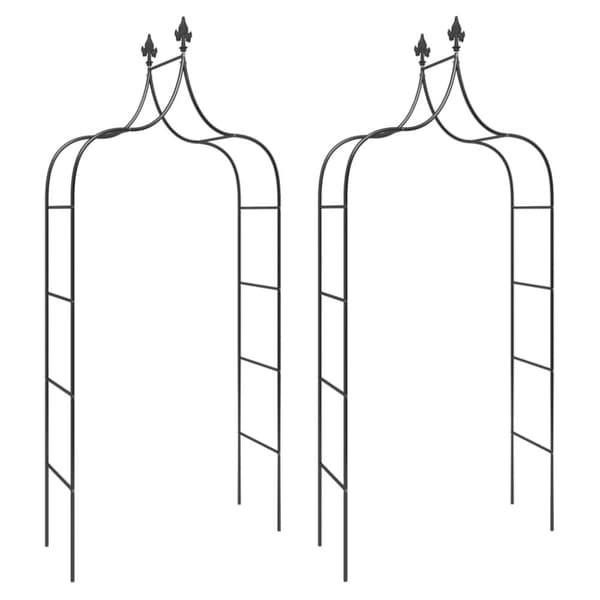 vidaXL Puutarhakaaret 2 kpl musta 120x38x260 cm teräs -  Puutarhakaaret, säleiköt, kukkatornit & pergolat