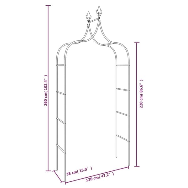 vidaXL Puutarhakaaret 2 kpl musta 120x38x260 cm teräs -  Puutarhakaaret, säleiköt, kukkatornit & pergolat