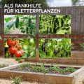 Miniatyrbillede 6 af 10: Rootz Justerbar Plantestøtte espalier - Klatreplanteramme - Haveespalier - Holdbar stålramme - Plantebeskyttelsesnet - 180cm x 100cm x 180cm