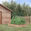 Miniatyrbillede 2 af 10: Rootz Justerbar Plantestøtte espalier - Klatreplanteramme - Haveespalier - Holdbar stålramme - Plantebeskyttelsesnet - 180cm x 100cm x 180cm