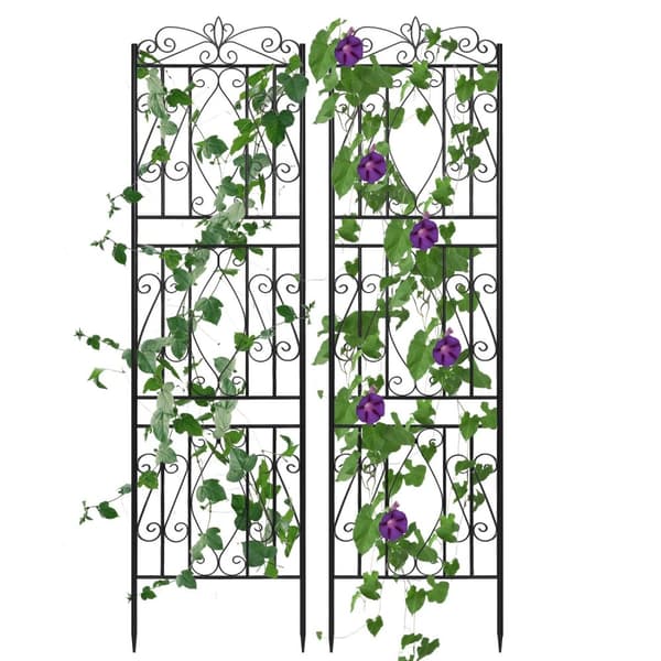 Havetrellis, Holdbar Metal Konstruktion, Elegant Design,sort