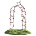 Pikkukuva 3 / 11: Puutarhapergolan kaari 265 cm Plonos PL-991