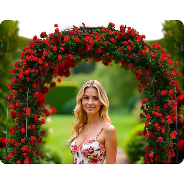 Have pergola bue 240 cm Plonos PL-990