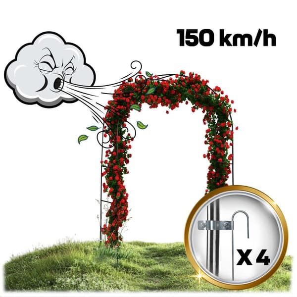 Have pergola bue 240 cm Plonos PL-990