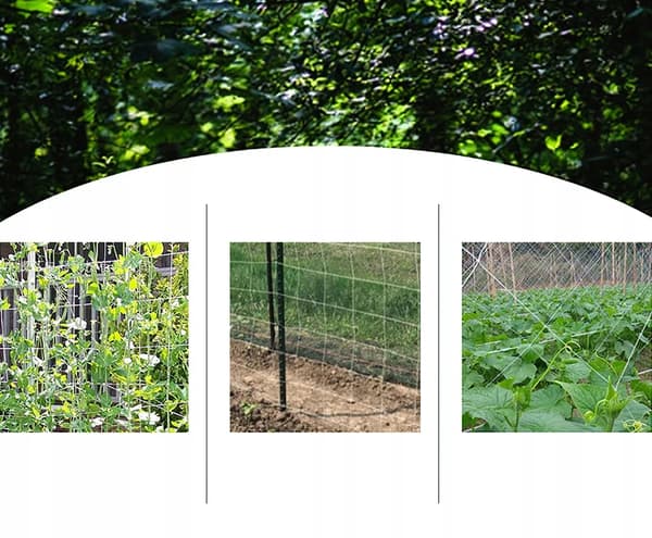 HAVENET AGURKER BØNNER KLATTERDRUER 167 5m PLANTER STØTTE Espalier