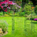 Miniatyrbild 2 av 6: Relaxdays Rosbåge, Rosenträdgård, Klätterställning, Rund trädgårdsstöd 250x160x160 cm, grön