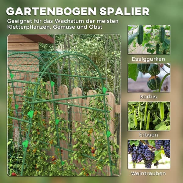 Espalier til Klatreplanter, 144x167x206 cm, Grøn