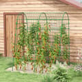 Miniatyrbillede 2 af 9: Espalier til Klatreplanter, 144x167x206 cm, Grøn