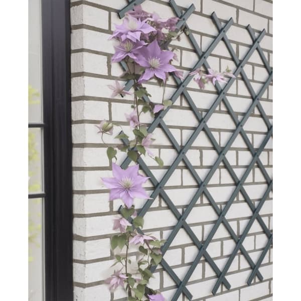 Nature Trädgårdsspaljé 50x150 cm PVC naturlig