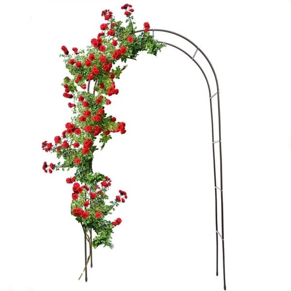 Bryllupshavebue, Metalstruktur, Tilpasseligt design, Egnet til klatreplanter,sort, XL