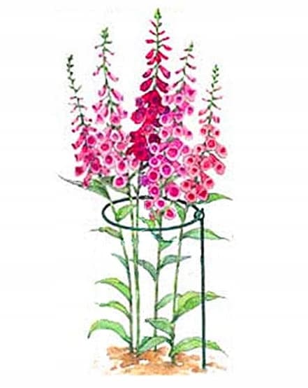 Runt växtstöd 76 cm massivt stöd för blommor