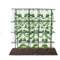 Miniatyrbillede 1 af 4: Havebue, Robust Stålramme, Fritstående Design