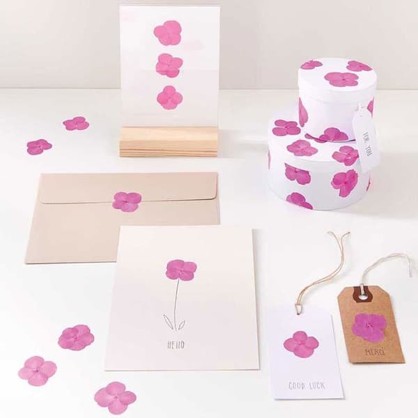 Pressade blommor - Hortensior - 2,5 till 3 cm - 9 st