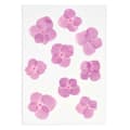 Miniatyrbild 2 av 3: Pressade blommor - Hortensior - 2,5 till 3 cm - 9 st