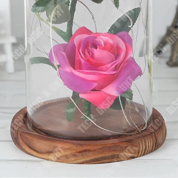 TD® LED-glasskydd 2 rosetter Tomtdekoration Presenter