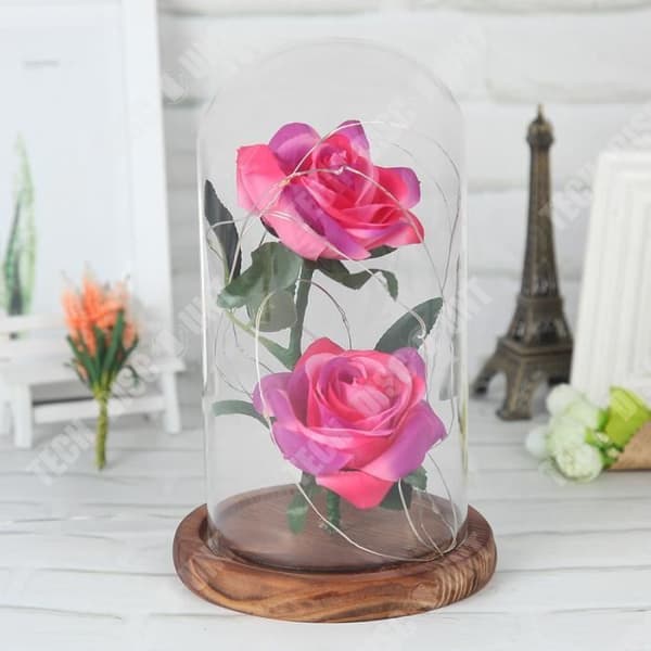 TD® LED-glasskydd 2 rosetter Tomtdekoration Presenter