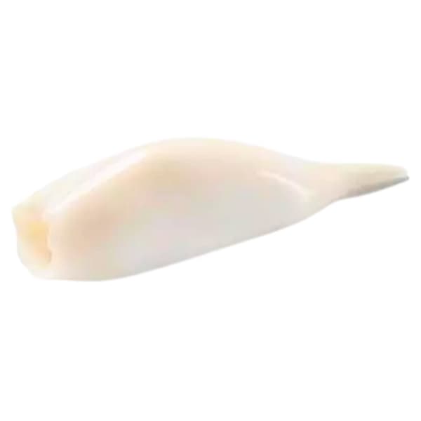 Blæksprutterør U-5 IGQ 20% is Pakket 1 kg