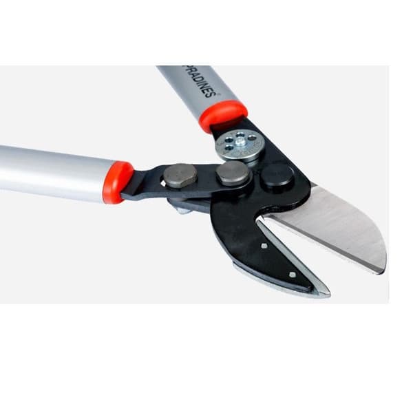 Multiplicerat professionellt städ p173 sl 85 45