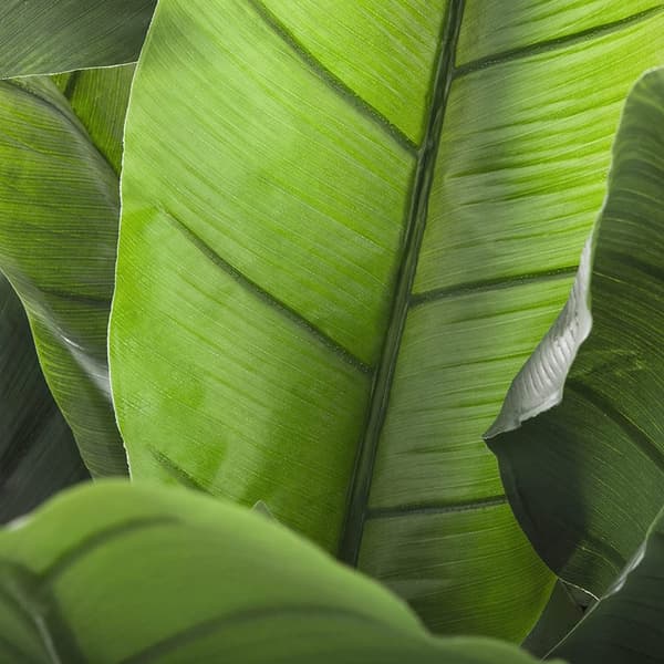 Atmosphera Konstgjord Växt 170 Cm Deco Green Collection Durchsichtig