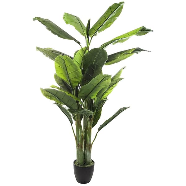 Atmosphera Konstgjord Växt 170 Cm Deco Green Collection Durchsichtig