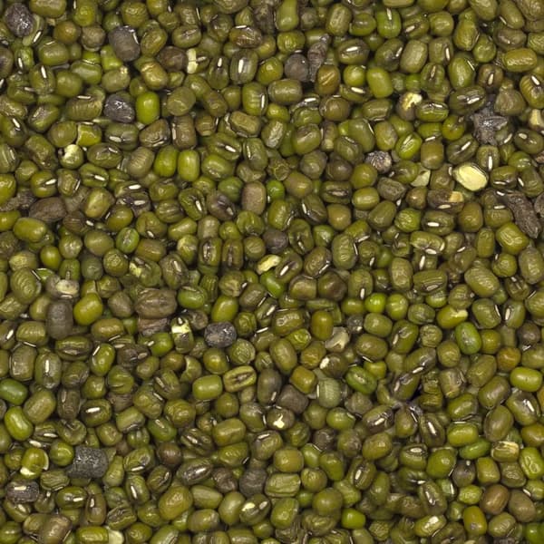 Mungbønner 1 kg (2 x 500 g)